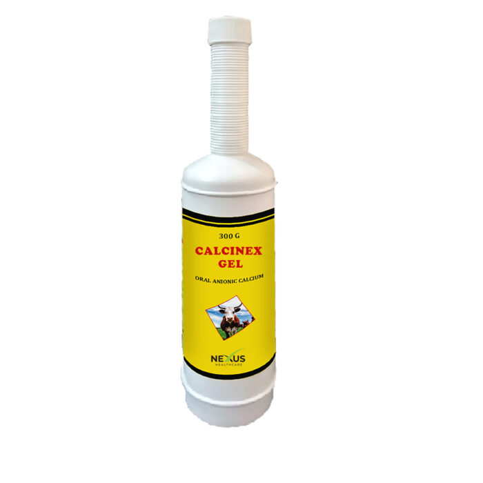 CalciNeX Gel - 300 gm