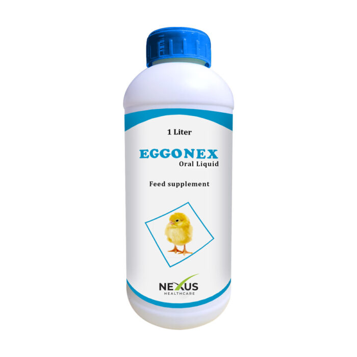 EggoNeX
