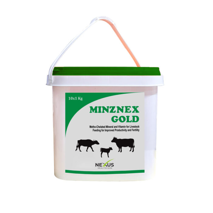 MinzNeX Gold