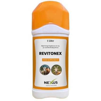 RevitoNeX