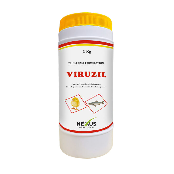 ViruZil