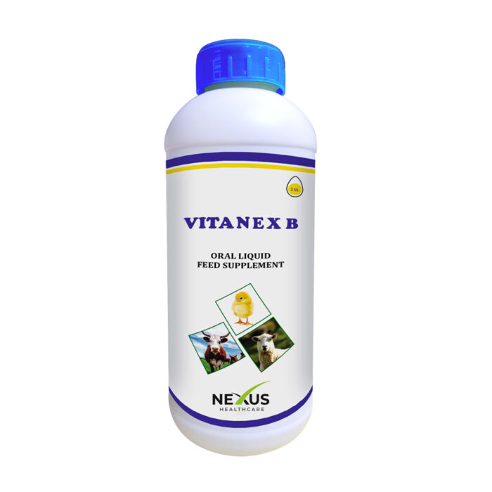 VitaNeX B