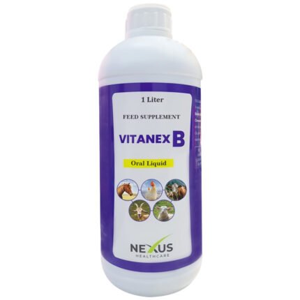 VitaNeX B