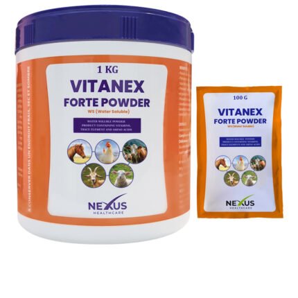 VitaNeX Forte Powder