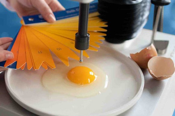 INNOVATING FOR HEALTHIER ANIMALS