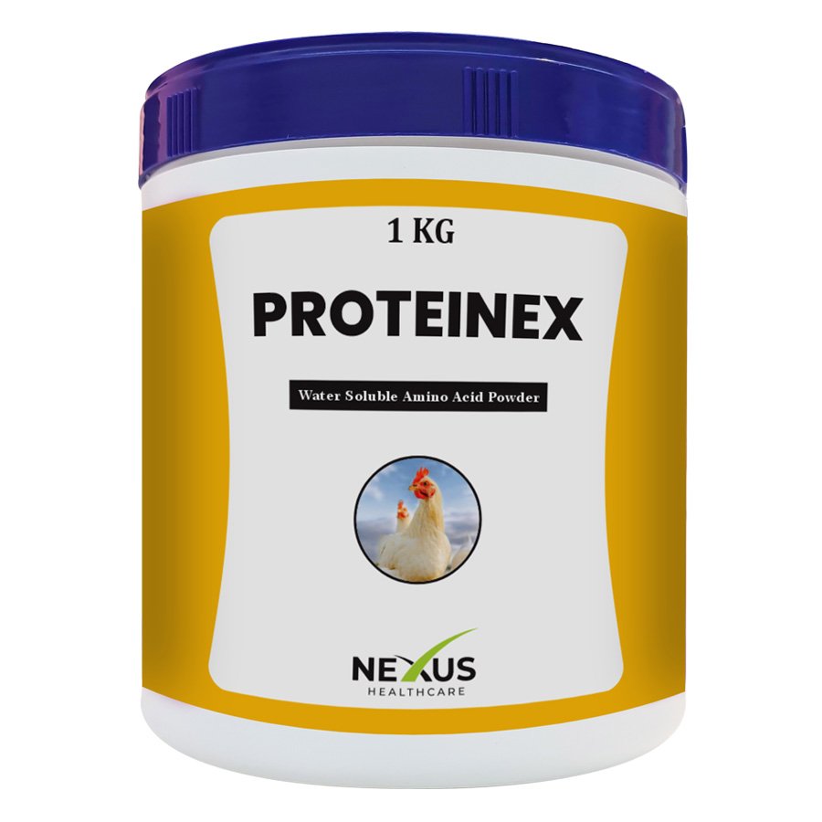 ProteineNeX ProteineNeX